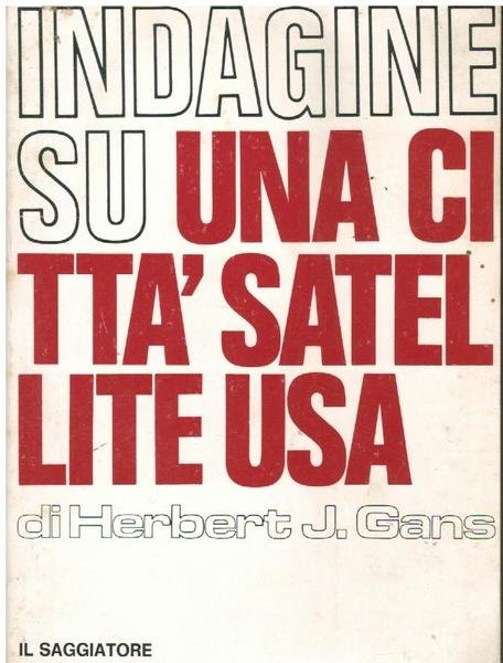 INDAGINE SU UNA CITTA' SATELLITE USA