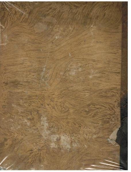 RACCOLTA DE' REGII EDITTI, MANIFESTI ED ALTRE PROVVIDENZE DEI MAGISTRATI …