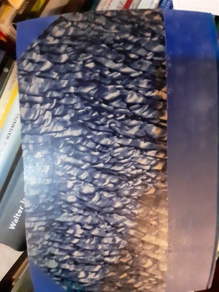 San Remo rinnovellata. Memorie storiche contemporanee.