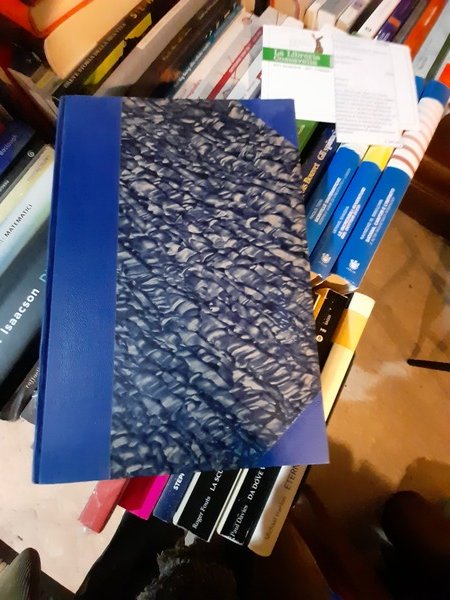 San Remo rinnovellata. Memorie storiche contemporanee.