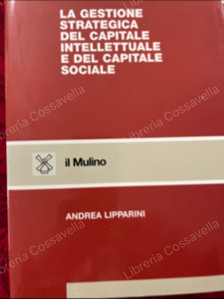La gestione strategica del capitale intellettuale e del capitale sociale | Immagine principale