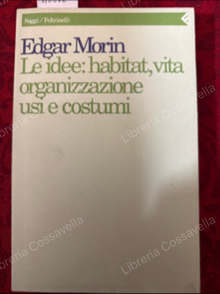 Le idee: habitat, vita, organizzazione, usi e costumi