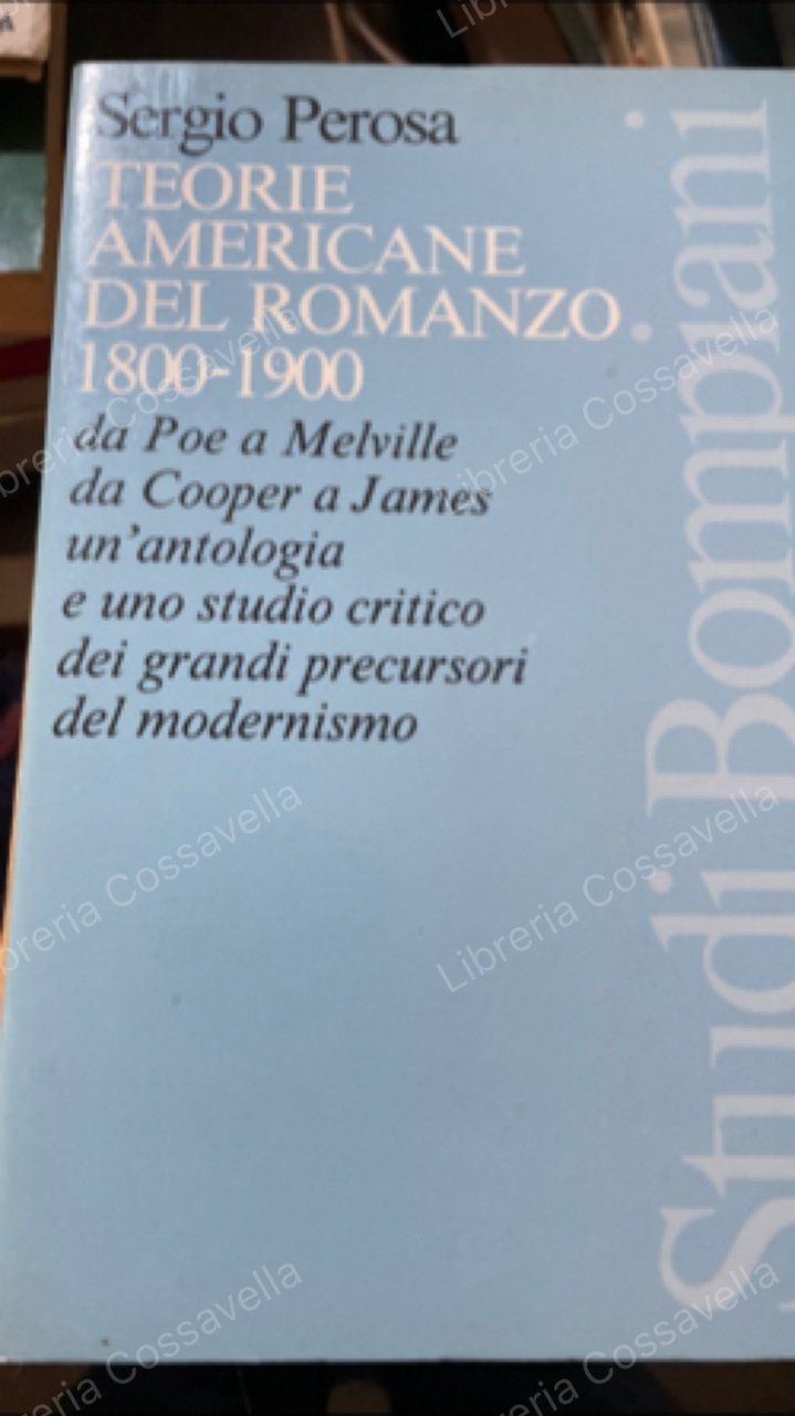 Teorie americane del romanzo 1800 - 1900