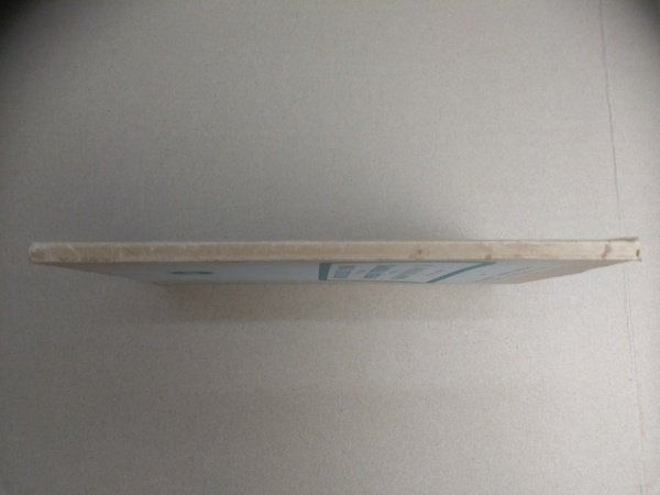 IL PROGRAMMA DELLA DEMOCRAZIA CRISTIANA PER LA NUOVA COSTITUZIONE.