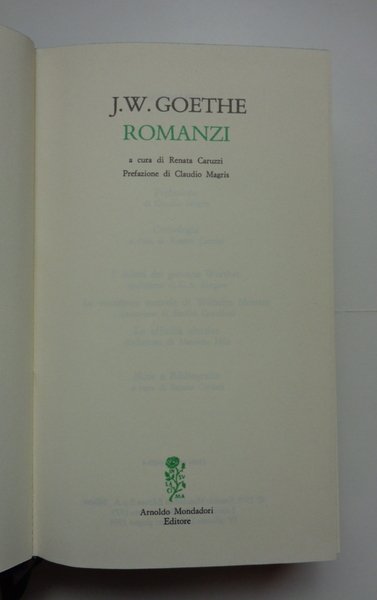 Romanzi