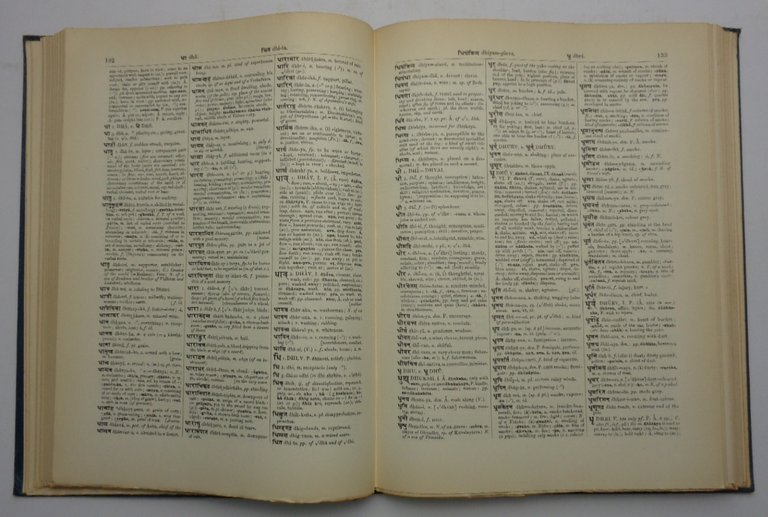 A Practical Sanskrit Dictionary