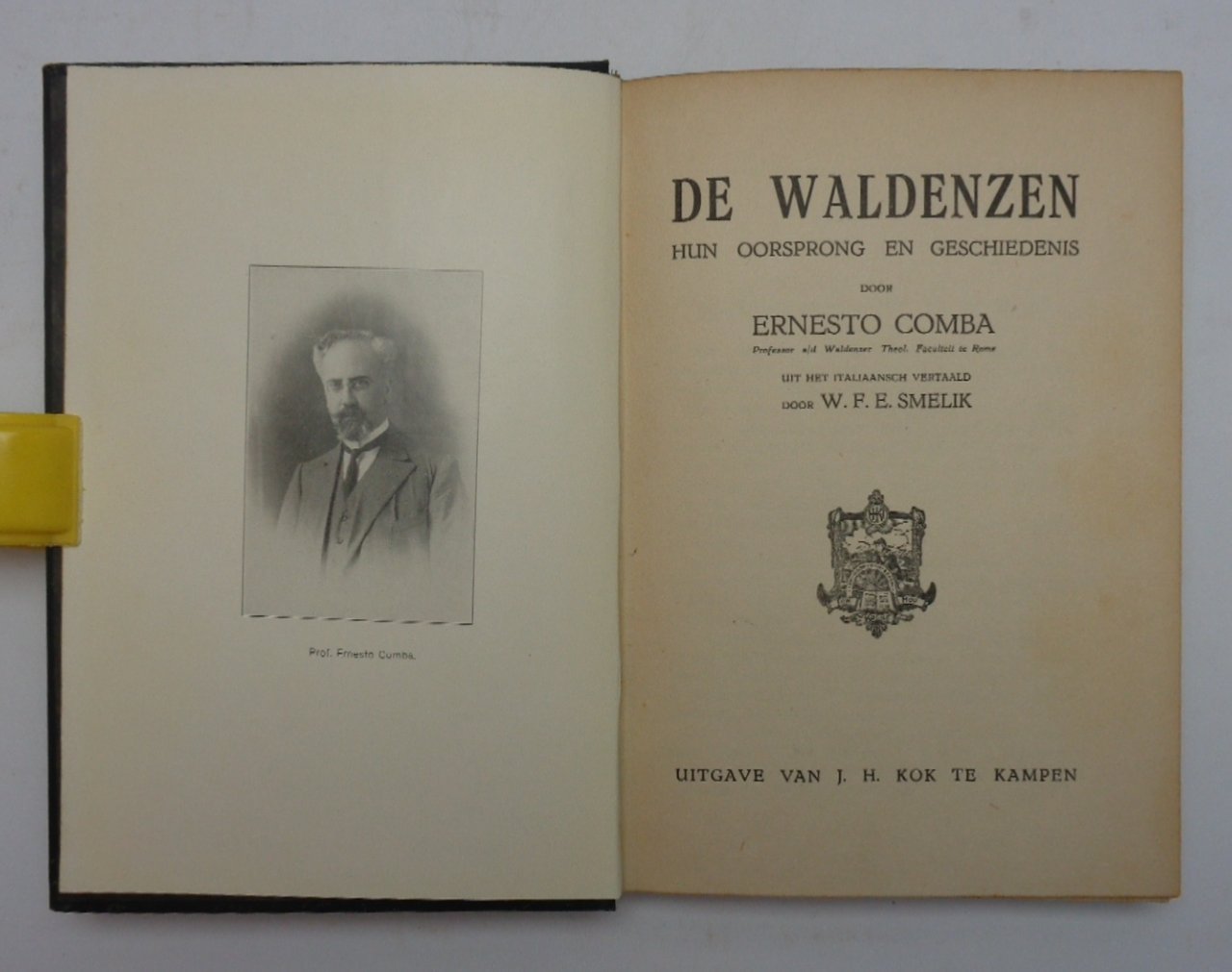 De Waldenzen hun oorsprong en geschiedenis. | Immagine principale