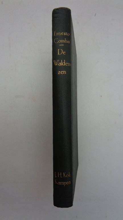 De Waldenzen hun oorsprong en geschiedenis. | Immagine Gallery 3