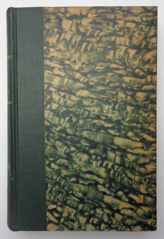 HAUSBUCH für die Mitglieder des dritten Ordens des hl. Vaters …