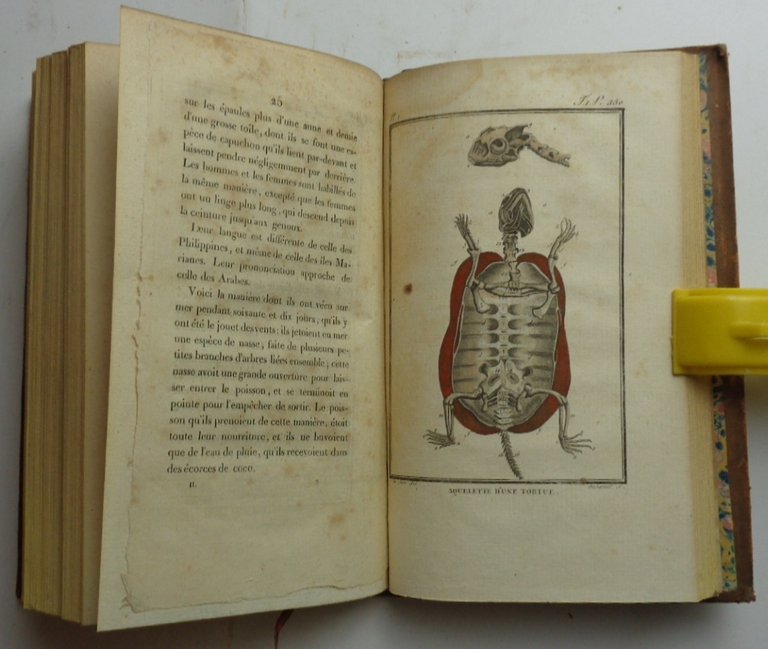 HISTOIRE NATURELLE, GENERALE ET PARTICULIERE, par Lecrerc de Buffon. (127 …