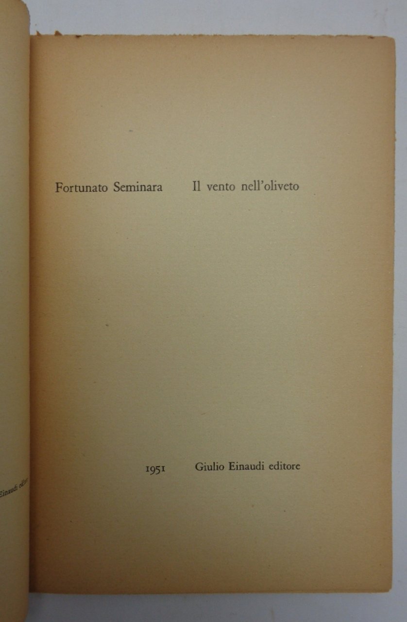 Il vento nell'oliveto