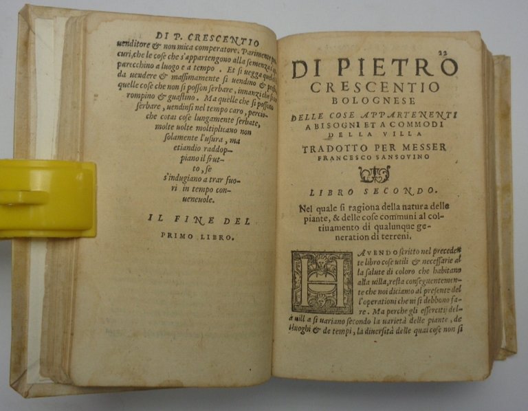 Le cose della villa con le figure delle herbe