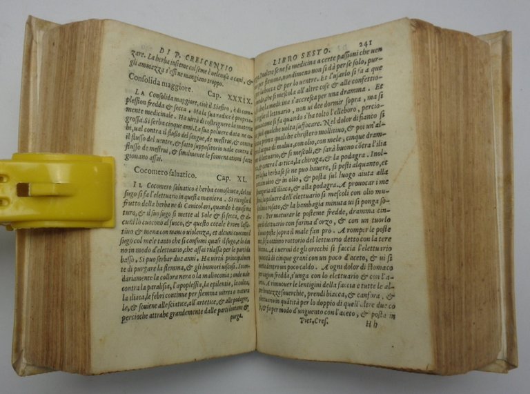 Le cose della villa con le figure delle herbe