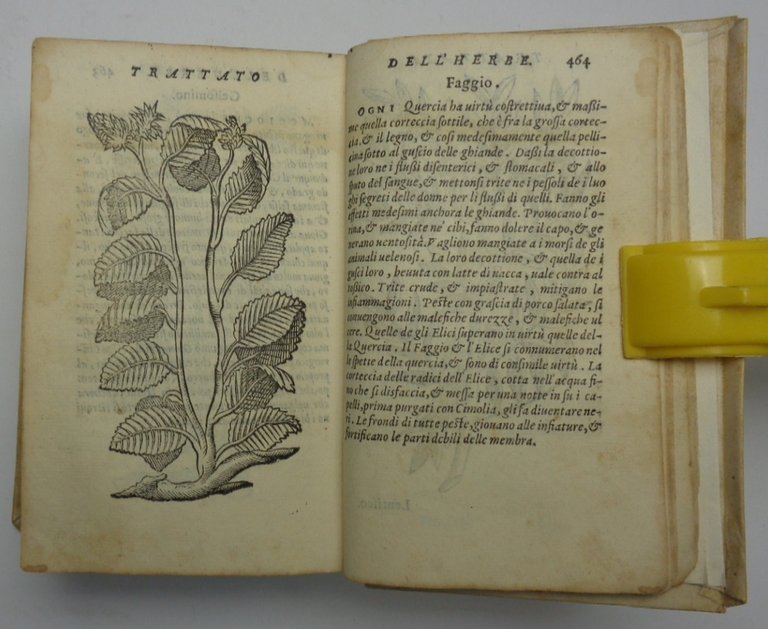 Le cose della villa con le figure delle herbe