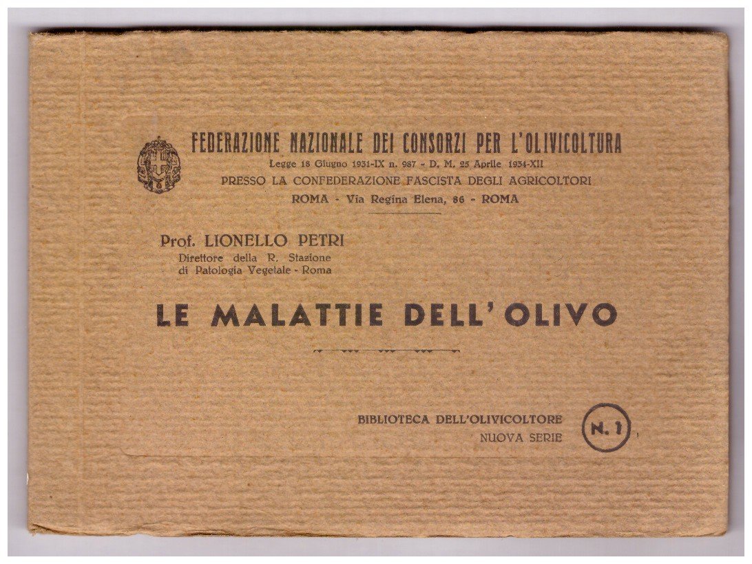 LE MALATTIE DELL'OLIVO.