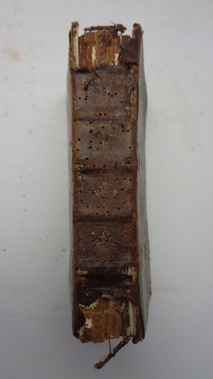 LES PROMENADES DE Mr LE NOBLE. Première, deuxième, troisième, quatrième, …