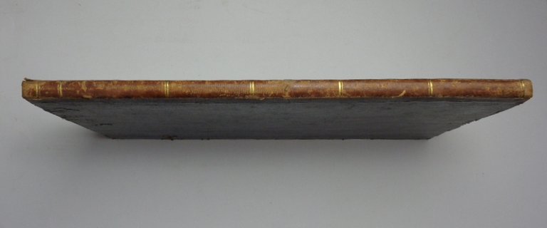 MODERNA COLTURA CALLIGRAFICA, a mano posata e calante. Opera di …