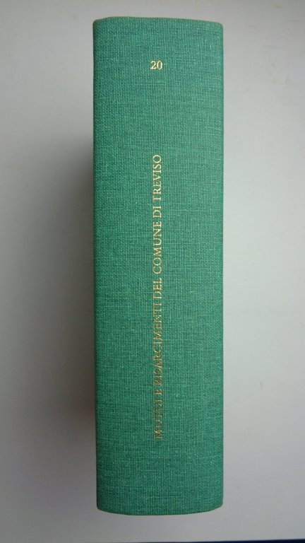 Mutui e risarcimenti del Comune di Treviso (secolo XIII)