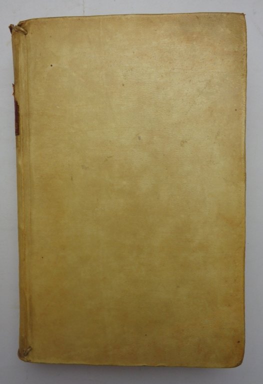 RIME E LETTERE DI VERONICA GAMBARA...