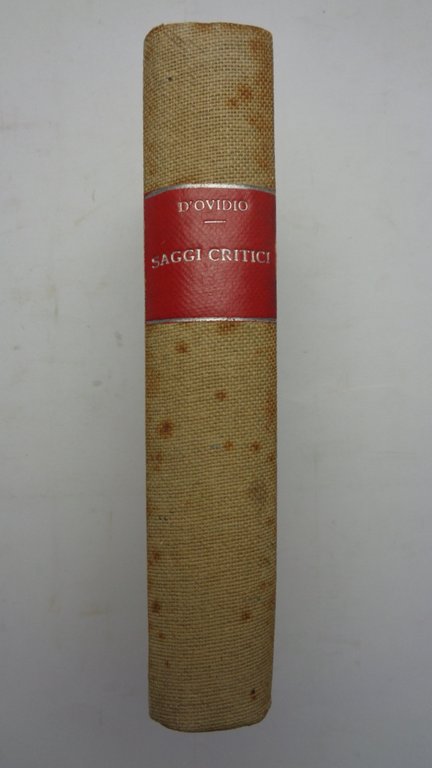 SAGGI CRITICI.
