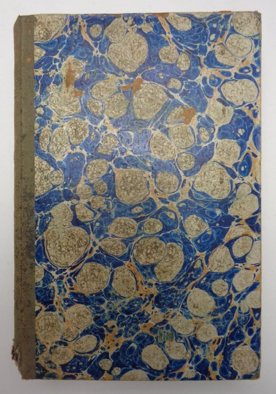 STUDII DI POLITICA E DI STORIA.