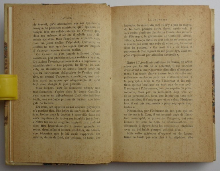 Un grand realiste: CAVOUR.