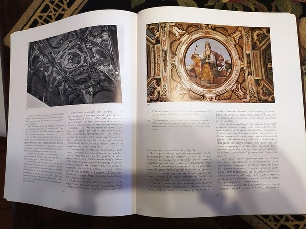 I Palazzi di Firenze nella storia e nell'arte