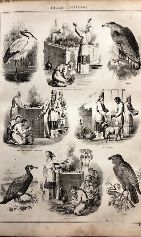 Brown's Self-interpreting Family Bible, containing the Old and New Testaments.