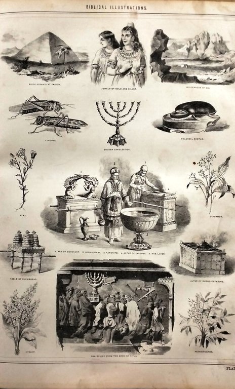 Brown's Self-interpreting Family Bible, containing the Old and New Testaments.
