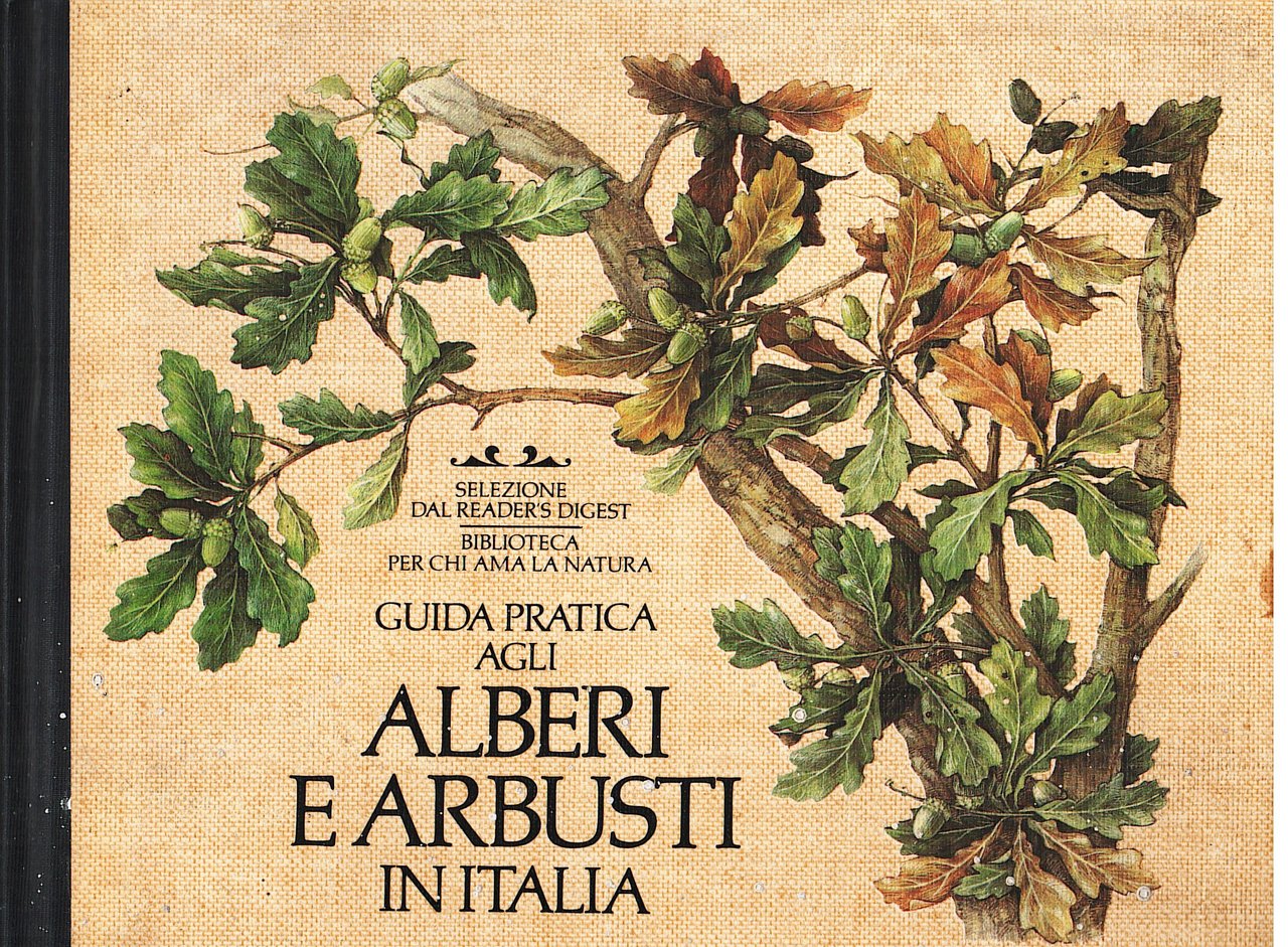 Guida pratica agli alberi e arbusti in Italia | Immagine principale