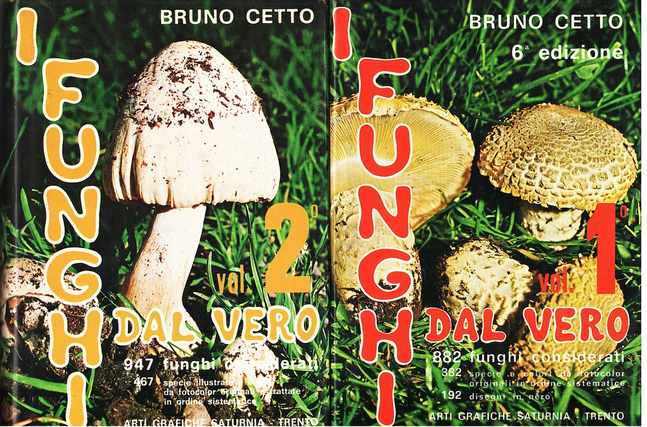 I funghi dal vero | Immagine principale