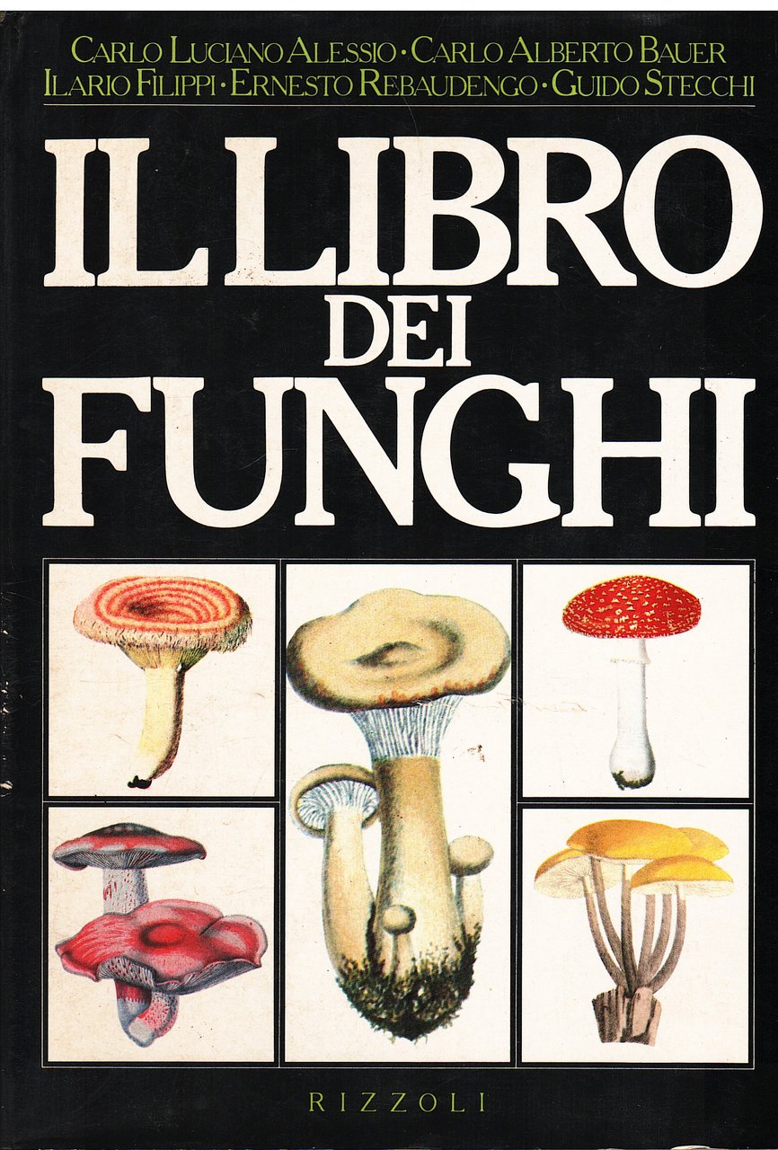 Il Libro dei Funghi | Immagine principale