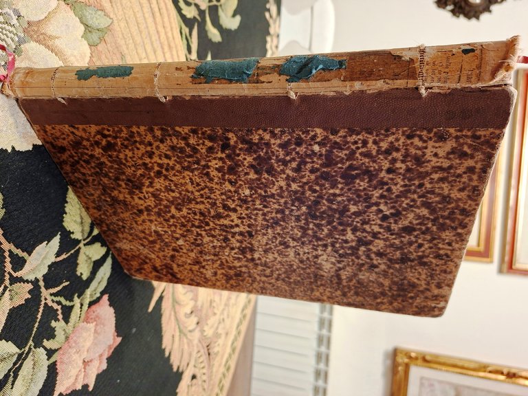 Il Paradiso Perduto.tradotto da Lazzaro Papi, con illustrazioni di Gustavo …