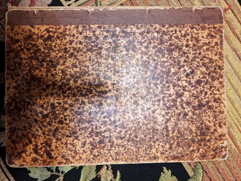 Il Paradiso Perduto.tradotto da Lazzaro Papi, con illustrazioni di Gustavo …