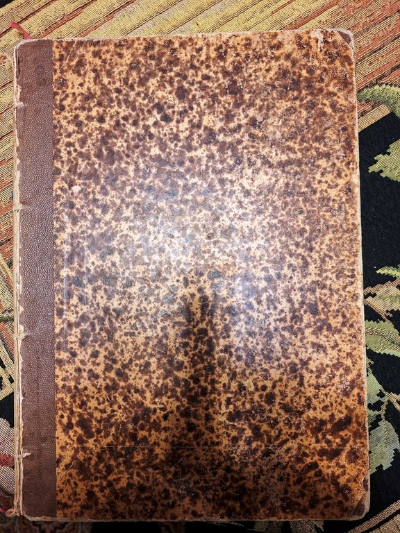 Il Paradiso Perduto.tradotto da Lazzaro Papi, con illustrazioni di Gustavo … | Immagine Gallery 6