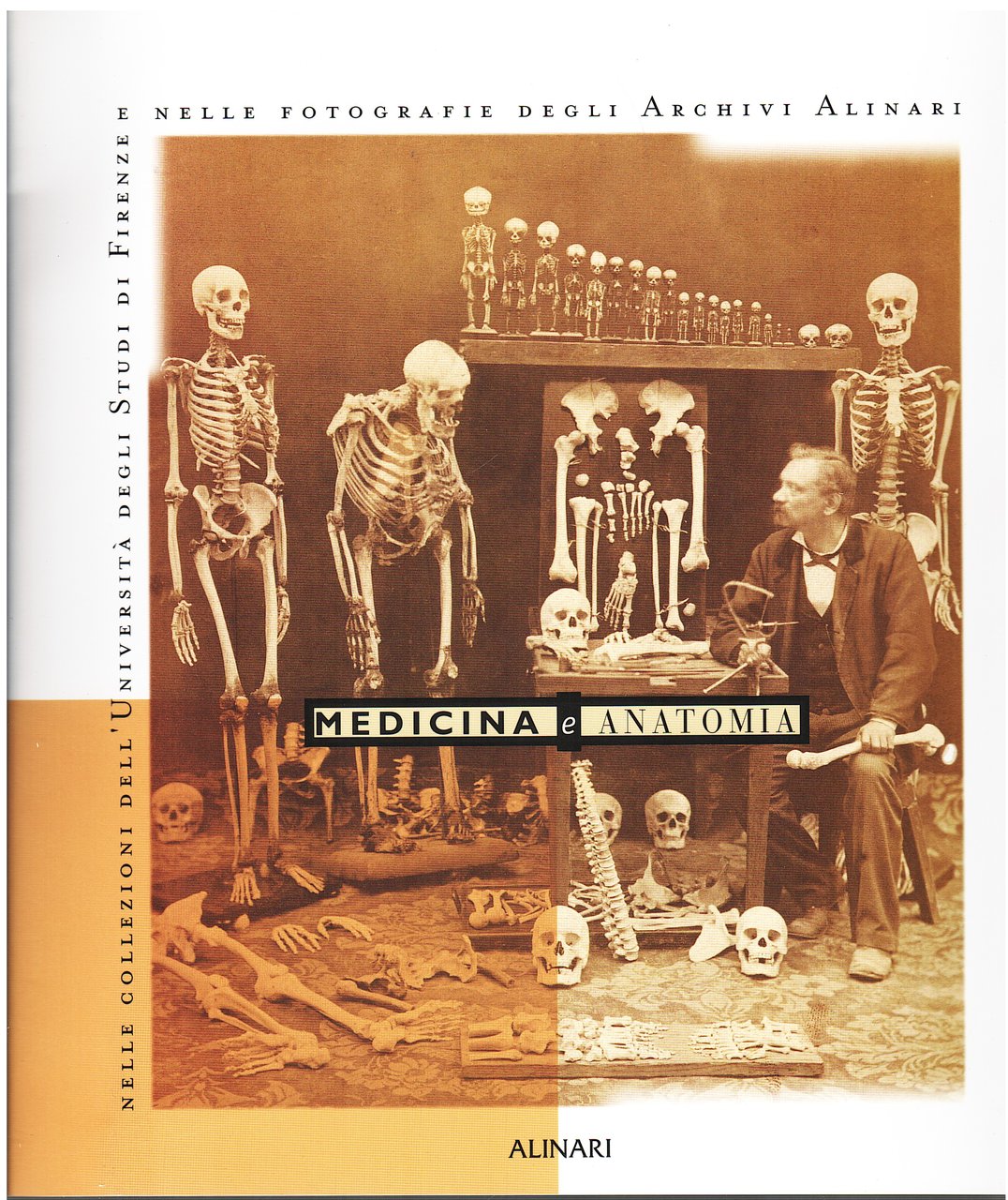 Medicina e anatomia nelle collezioni dell'Università degli Studi di Firenze …