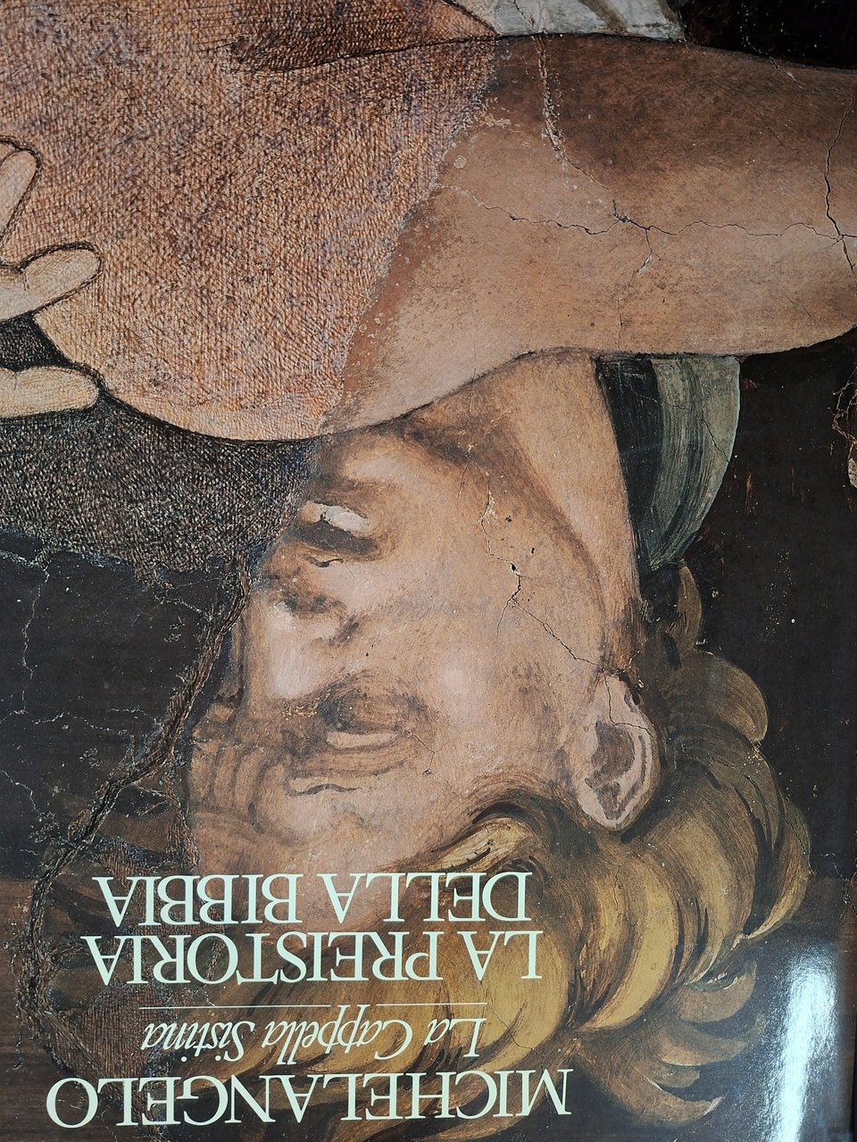 Michelangelo. La Cappella Sistina | Immagine principale