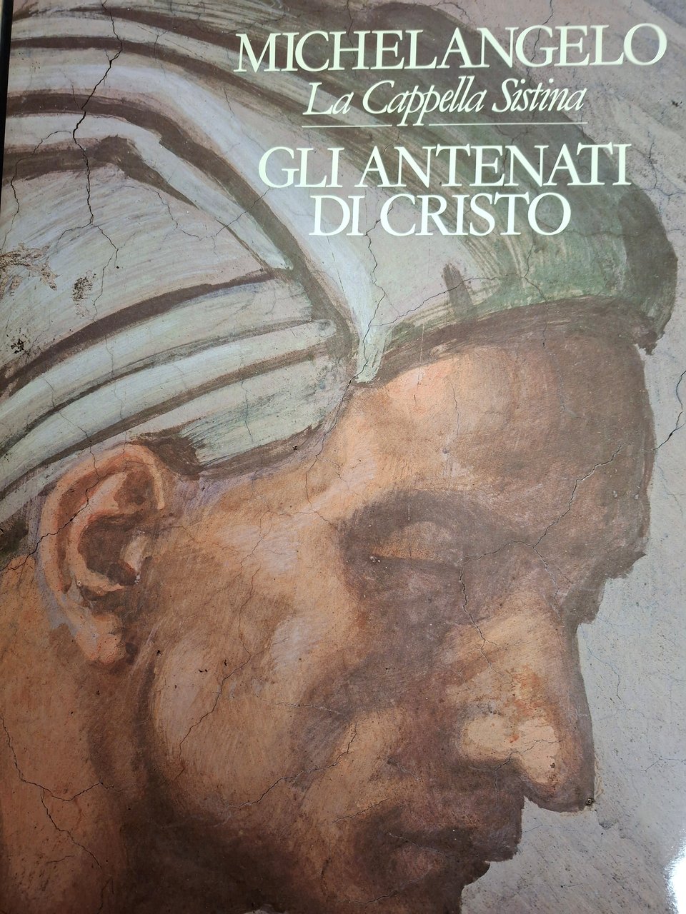 Michelangelo. La Cappella Sistina. | Immagine principale