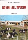 Bovini all'aperto