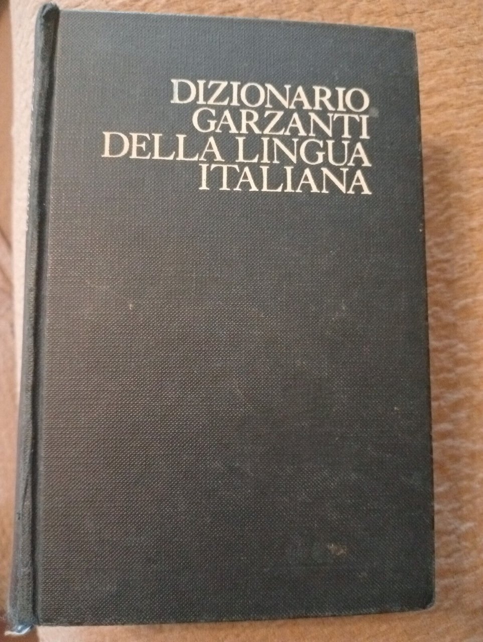 Dizionario Garzanti della lingua italiana