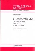 Il volontariato. Organizzazioni, statuti e convenzioni. Schemi - proposte - …