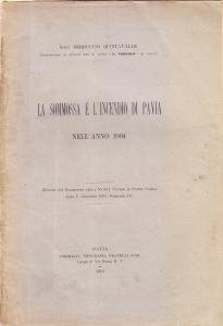 La sommossa e l'incendio di Pavia nell'anno 1004