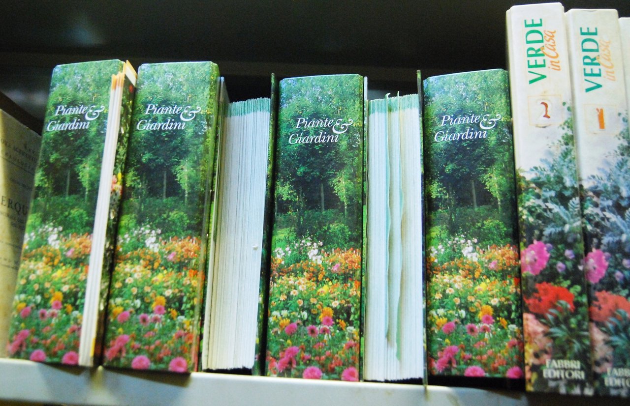 6 raccoglitori completi dei fascicoli idee creatività in giardino