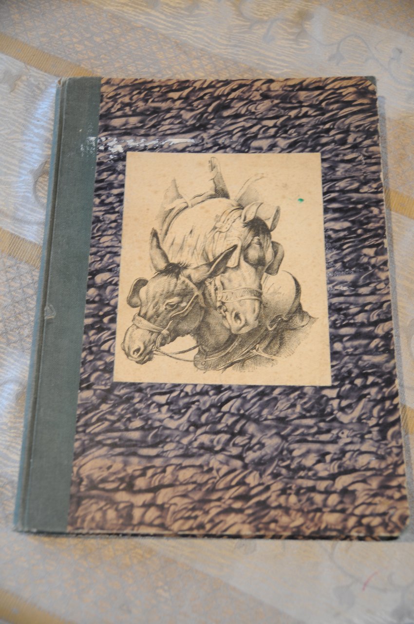 album di disegni elementari