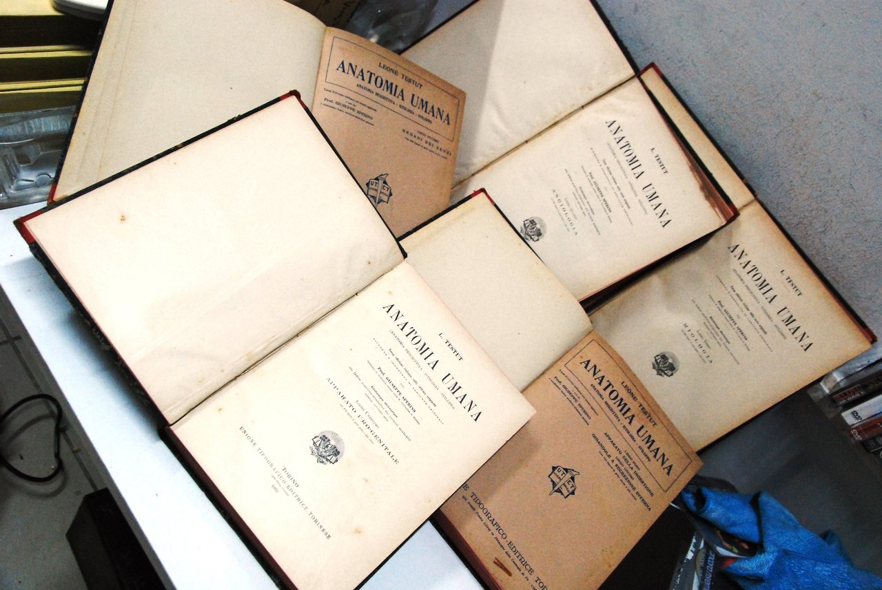 anatomia umana libri 3,4,7,9,10,11
