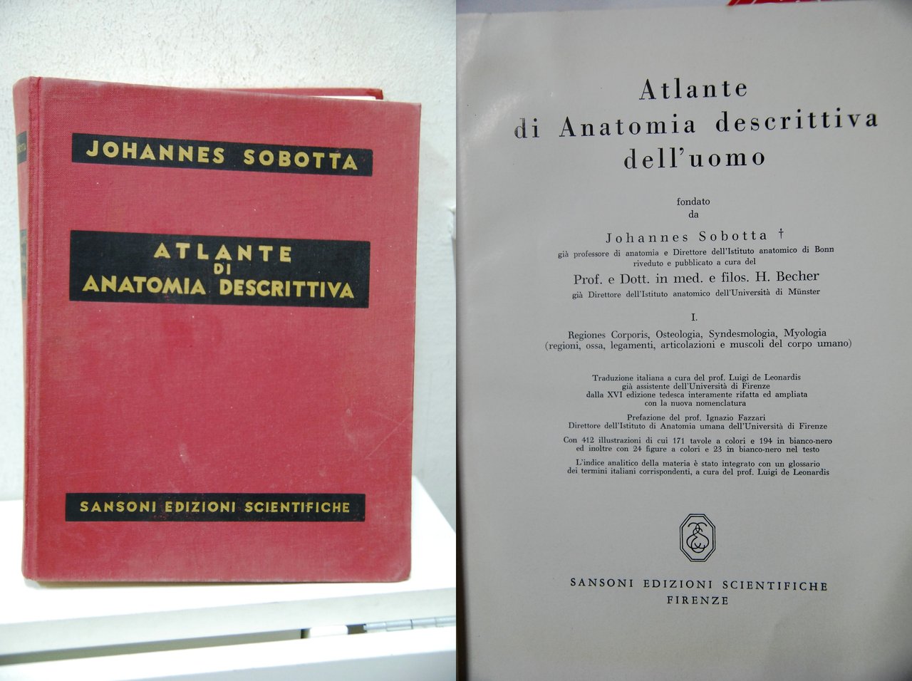 Atlante di Anatomia descrittiva dell'uomo