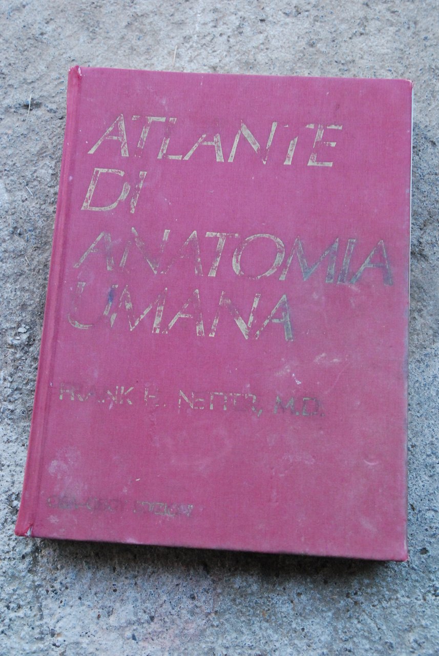 atlante di anatomia umana