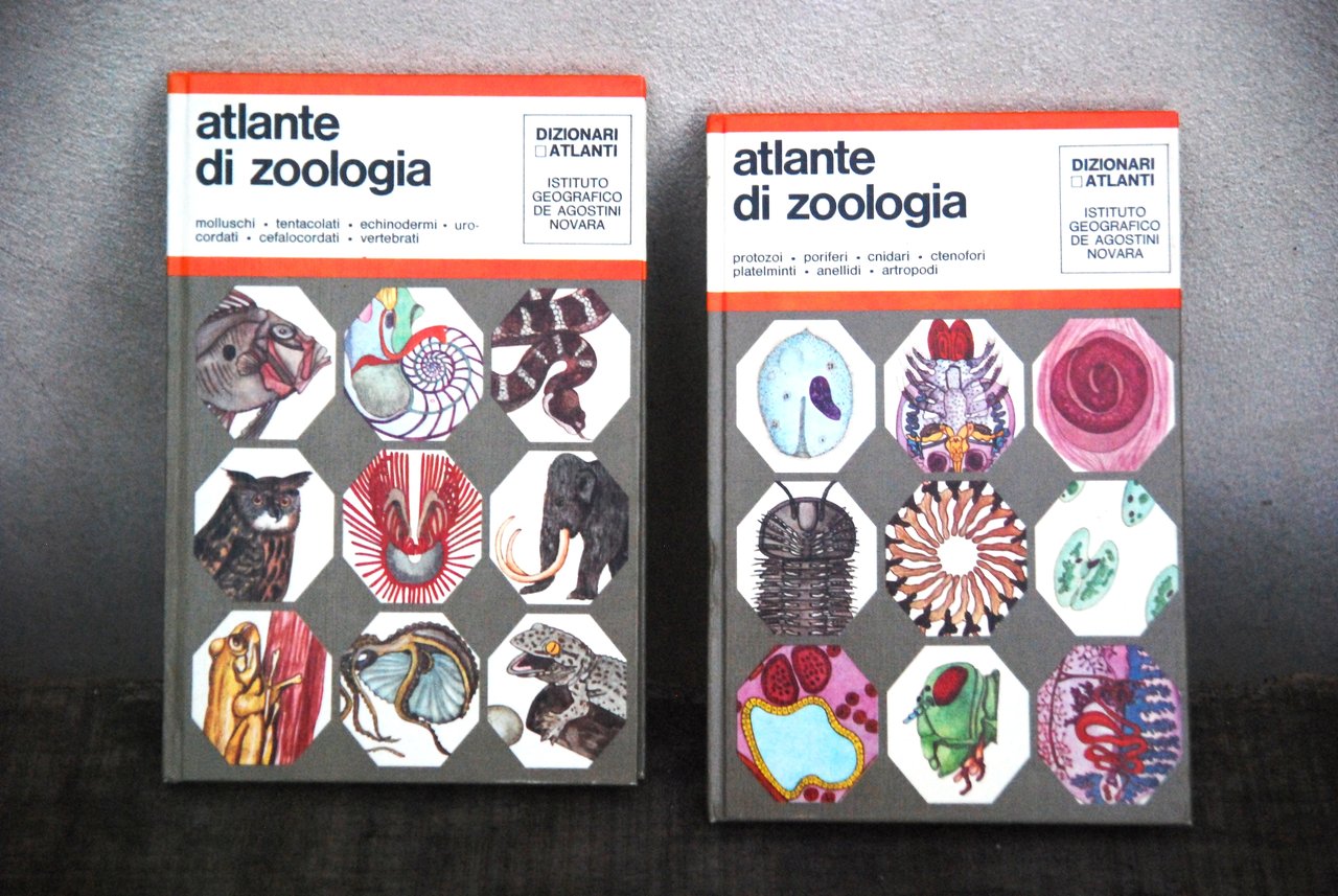 atlante di zoologia 2 voll. opera cpl. NUOVISSIMI