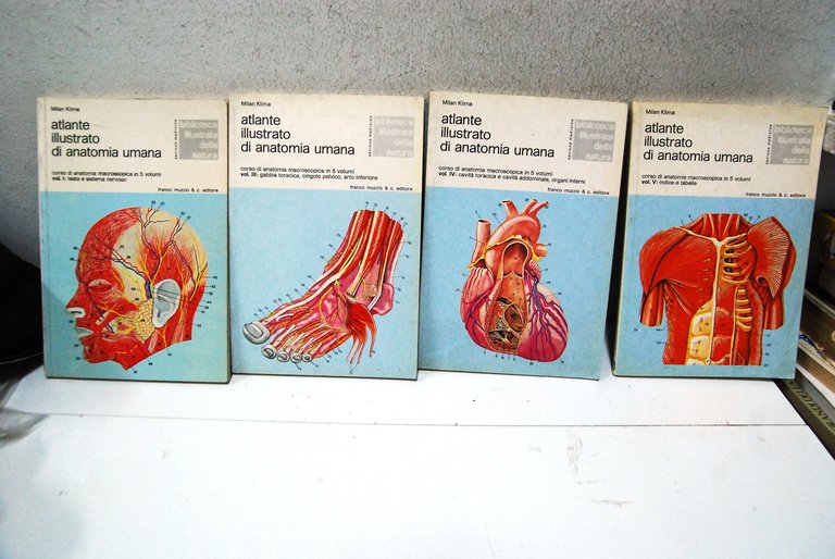 atlante illustrato di anatomia umana voll. I,III,IV,V