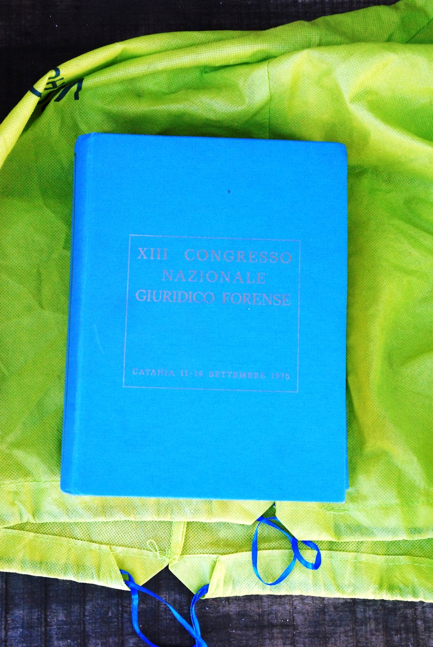 atti del XIII CONGRESSO NAZIONALE GIURIDICO FORENSE